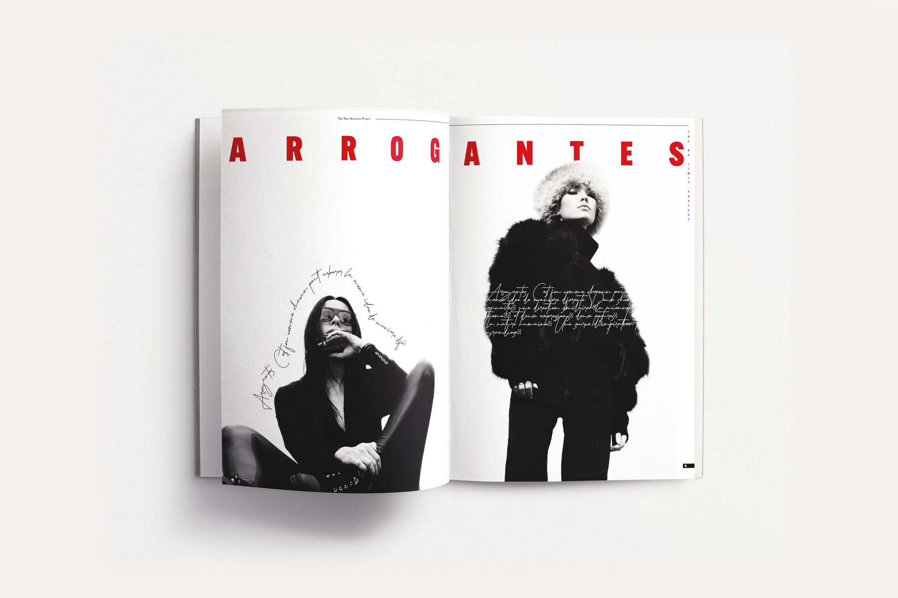 Double-page intérieure — No Limit · The Marc Karwaser Project